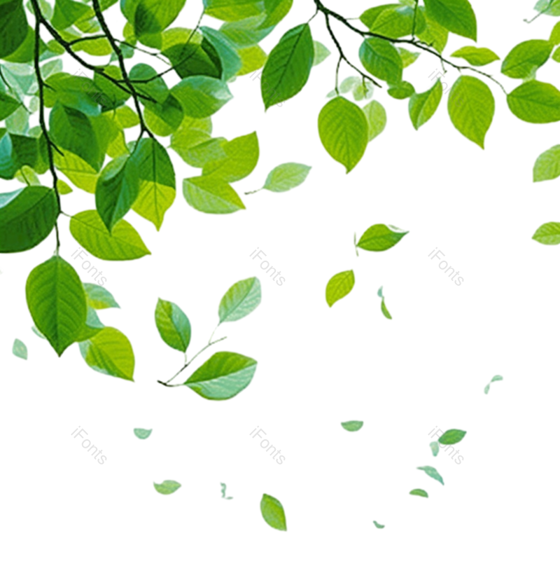 装饰图片,夏天元素,简约PNG,绿色元素免抠素材